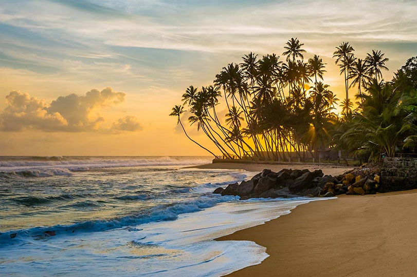 Culture & Safari Explorer